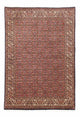Bidjar Tapete 172x251cm - Tapete persa