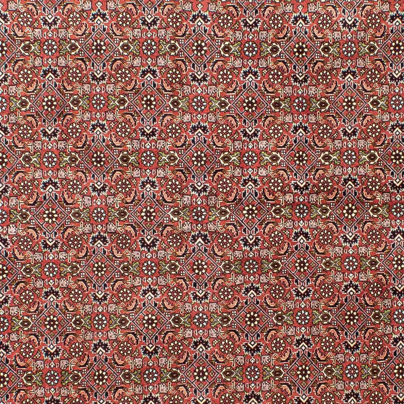 Bidjar Tapete 172x251cm - Tapete persa