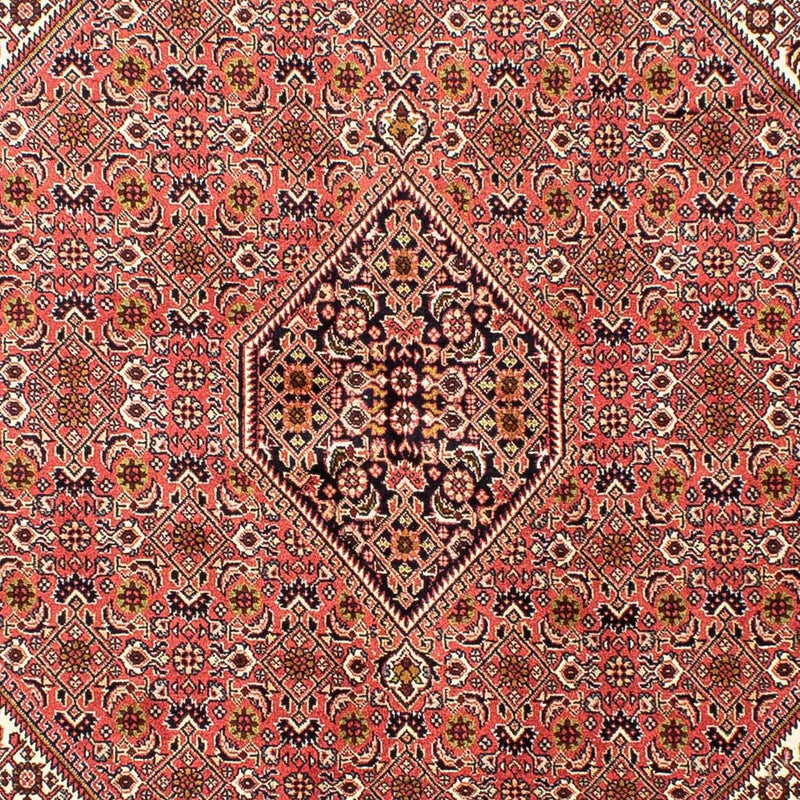 Bidjar Tapete 170x240cm - Tapete persa