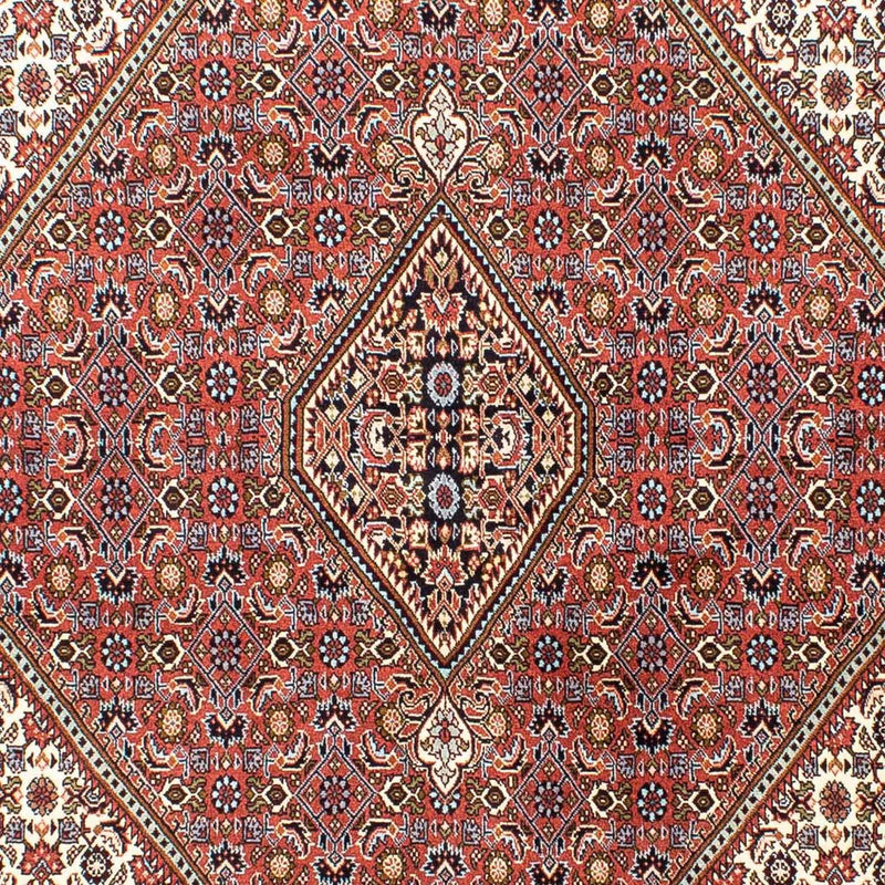 Bidjar Tapete 171x250cm - Tapete persa