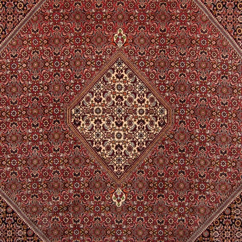 Bidjar Tapete 338x250cm - Tapete persa