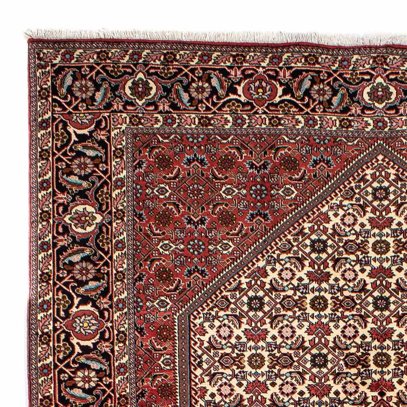 Bidjar Tapete 300x196cm - Tapete persa