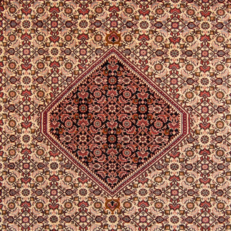 Bidjar Tapete 247x330cm - Tapete persa