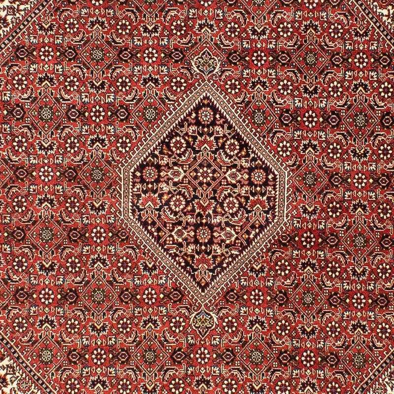 Bidjar Tapete 242x173cm - Tapete persa