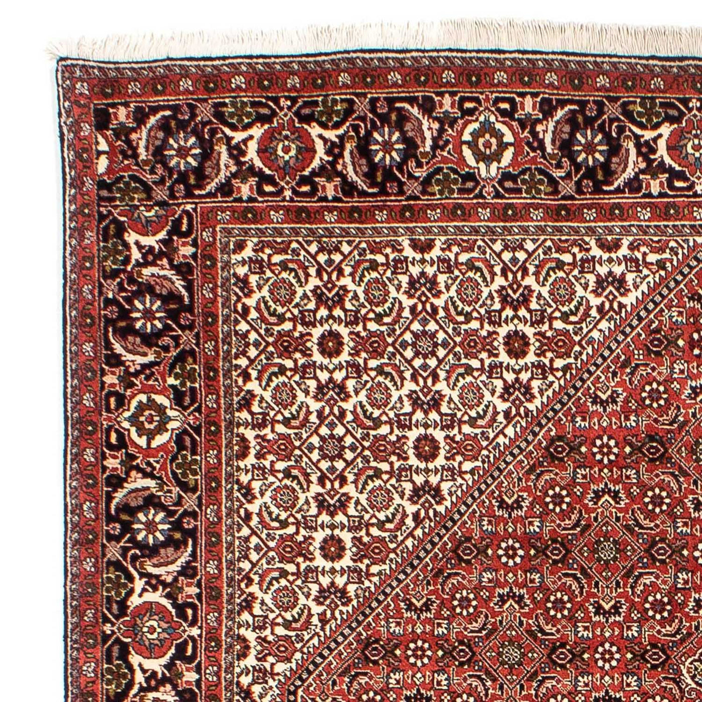 Bidjar Tapete 242x173cm - Tapete persa