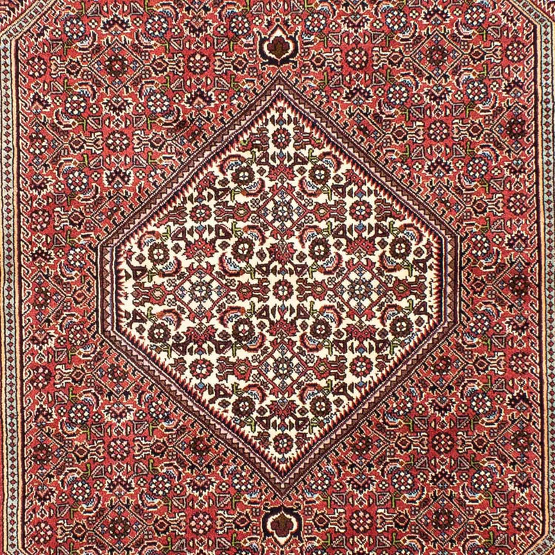 Bidjar Tapete 170x255cm - Tapete persa