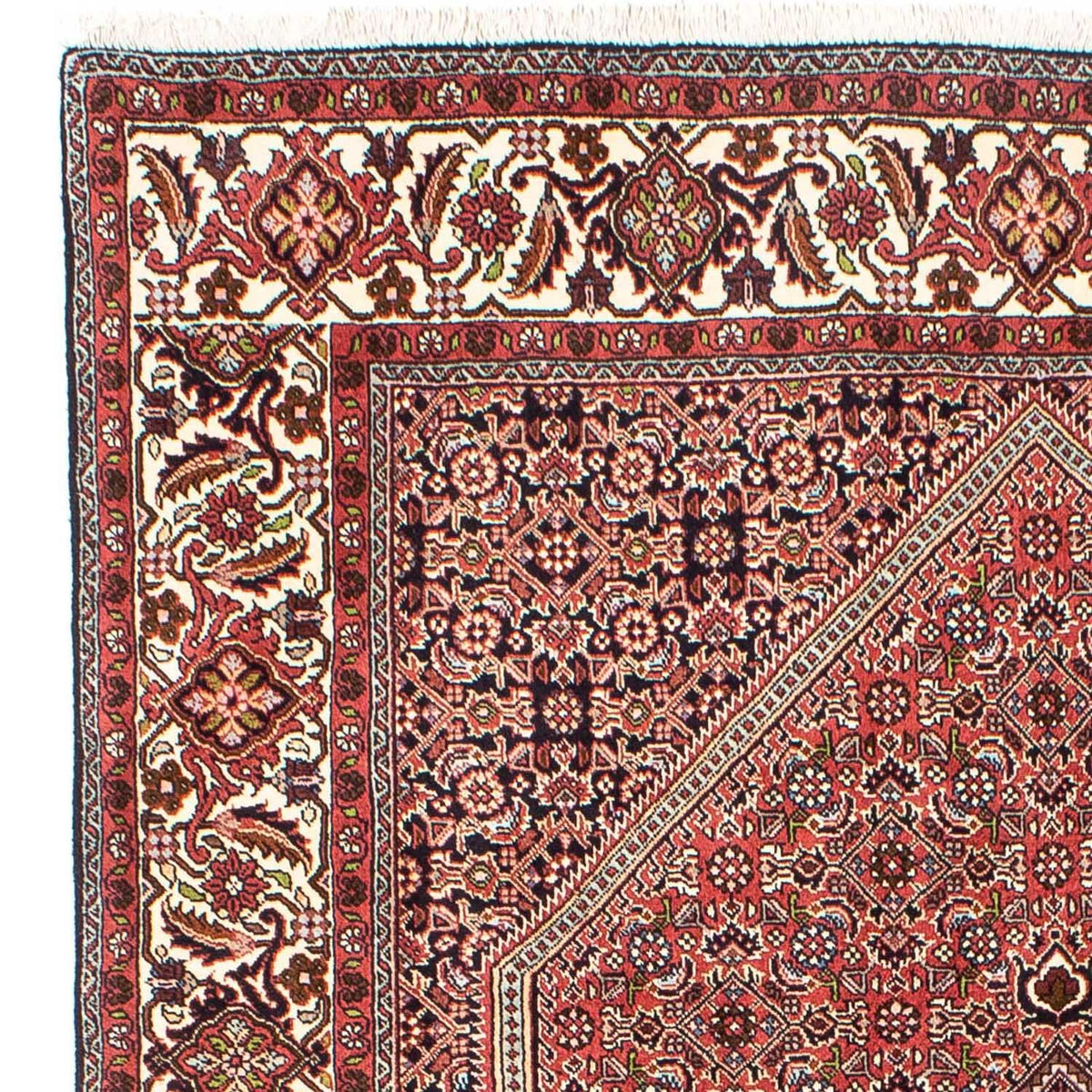 Bidjar Tapete 170x255cm - Tapete persa