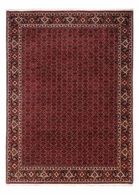 Bidjar - Zanjan Tapete 350x250cm - Tapete persa – product image