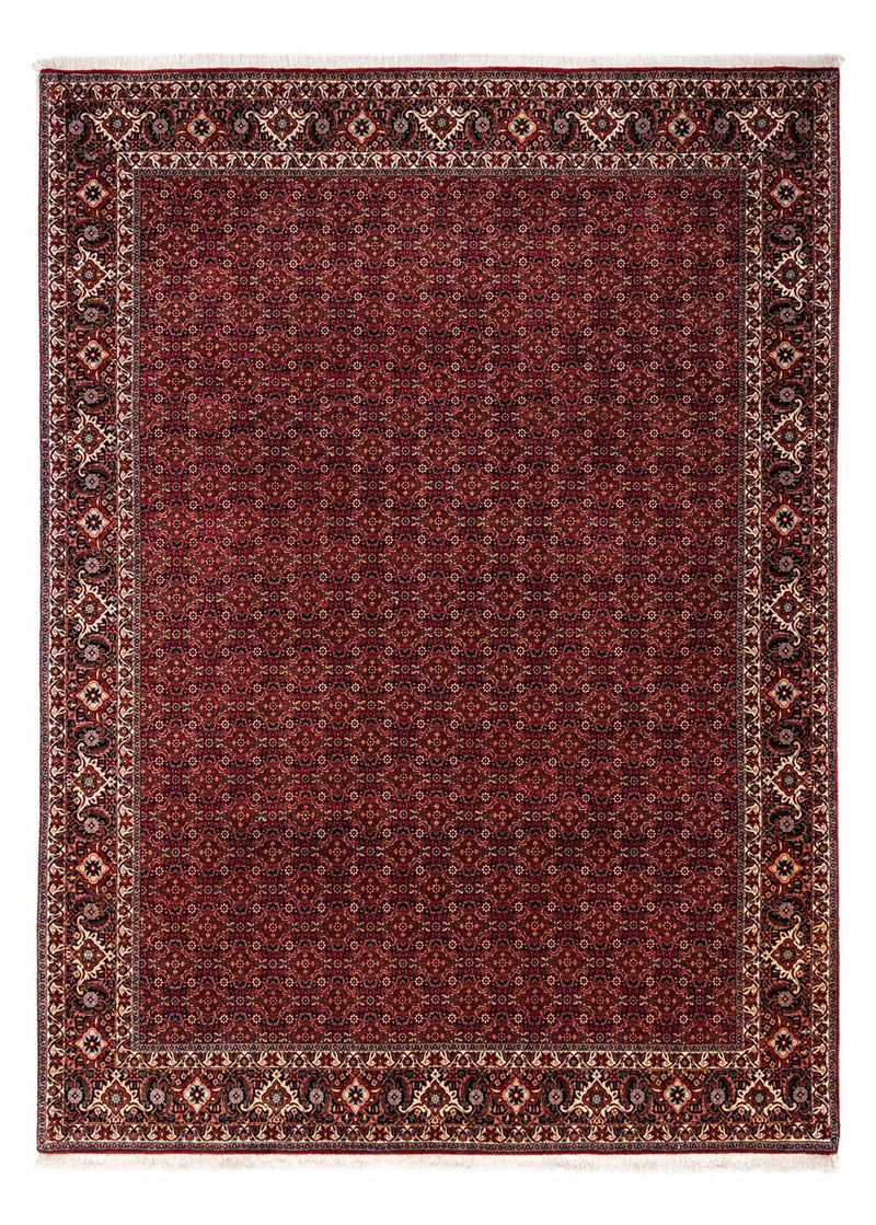 Bidjar - Zanjan Tapete 350x250cm - Tapete persa