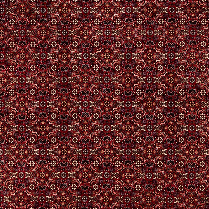Bidjar - Zanjan Tapete 350x250cm - Tapete persa