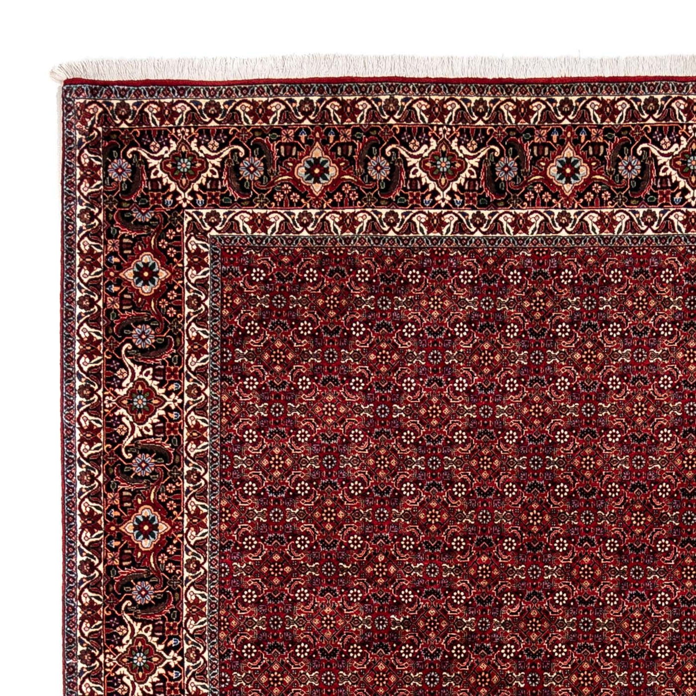 Bidjar - Zanjan Tapete 350x250cm - Tapete persa