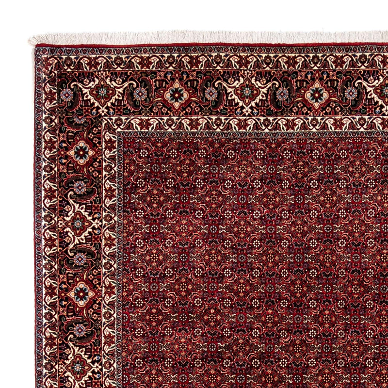 Bidjar - Zanjan Tapete 350x250cm - Tapete persa
