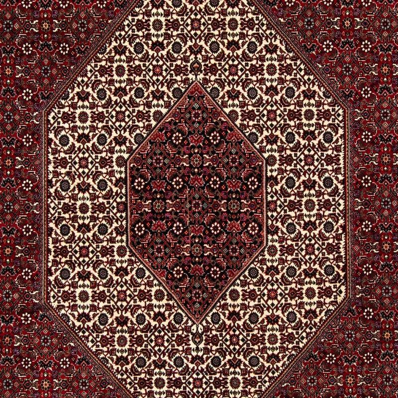 Bidjar Tapete 257x204cm - Tapete persa