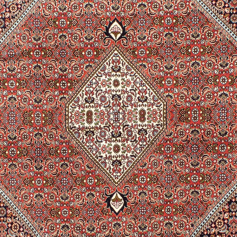 Bidjar Tapete 174x253cm - Tapete persa