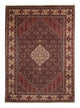 Bidjar Tapete 243x348cm - Tapete persa - castanho