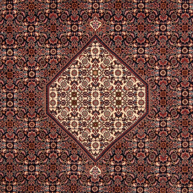 Bidjar Tapete 243x348cm - Tapete persa - castanho