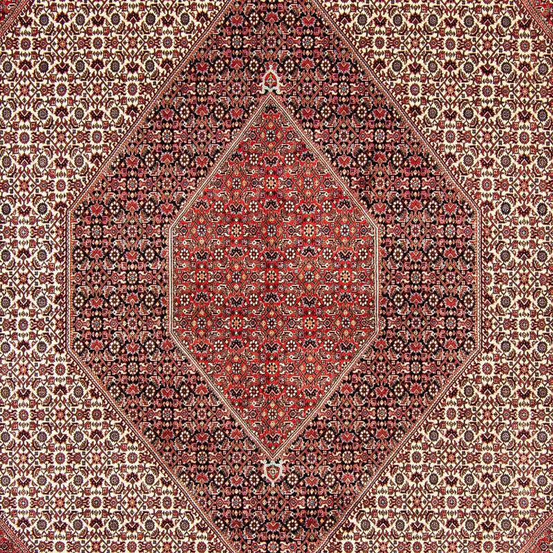 Bidjar Tapete 298x404cm - Tapete persa