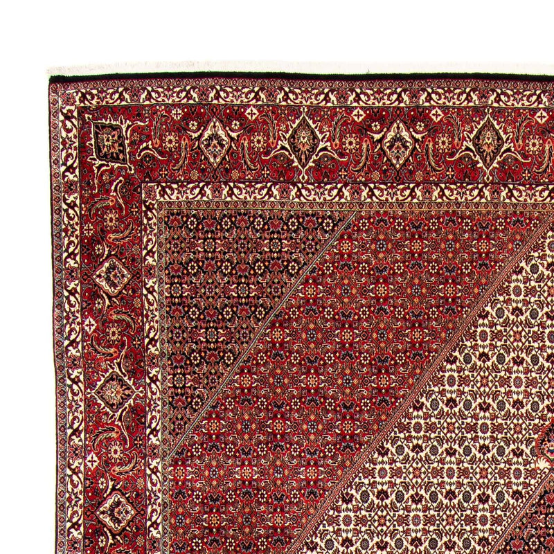 Bidjar Tapete 298x404cm - Tapete persa