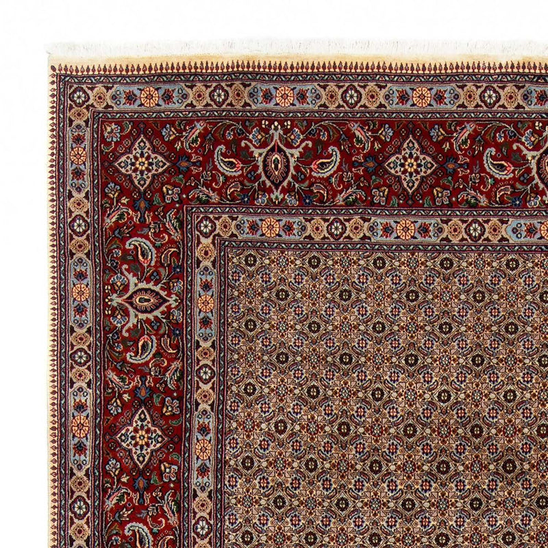 Moud Tapete 285x198cm - Tapete persa