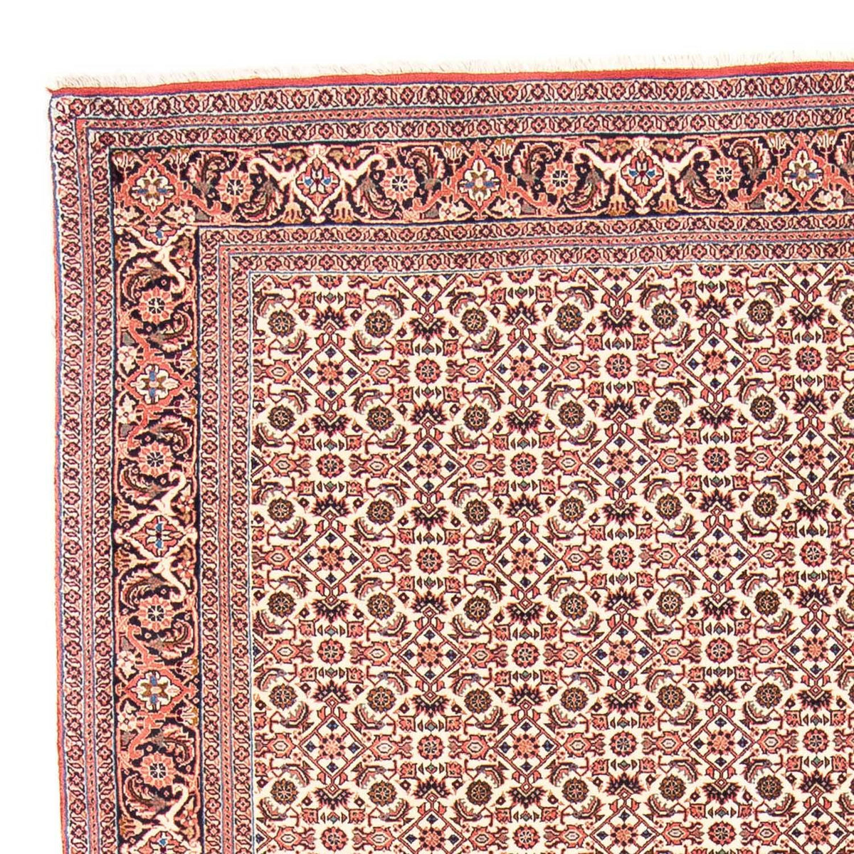 Bidjar Tapete 170x237cm - Tapete persa