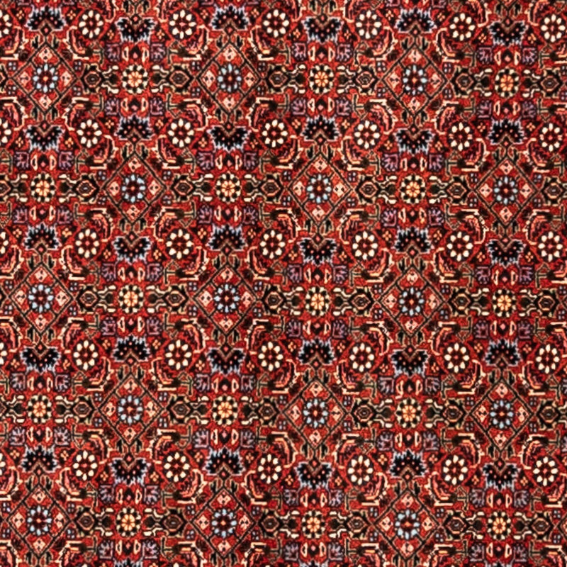Bidjar - Takab Tapete 363x248cm - Tapete persa