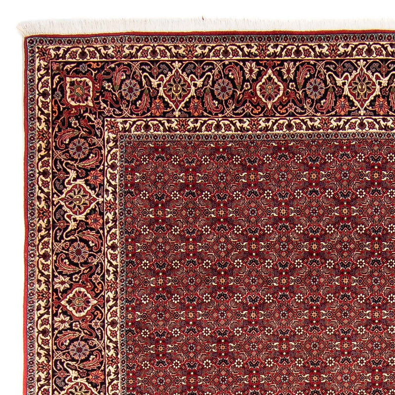 Bidjar Tapete 256x288cm - Tapete persa