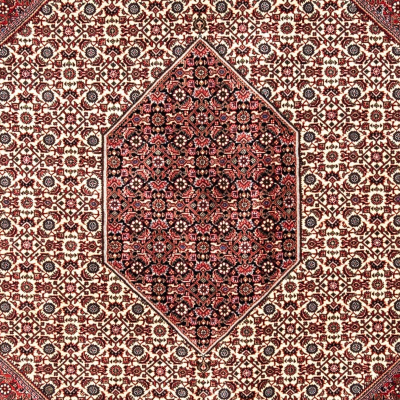Bidjar - Takab Tapete 253x343cm - Tapete persa
