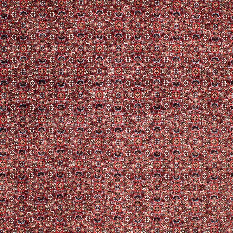 Bidjar Teppich 290x203cm - Perserteppich
