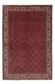 Bidjar Tapete 243x172cm - Tapete persa