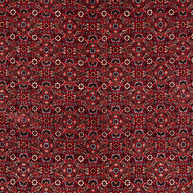 Bidjar Tapete 243x172cm - Tapete persa