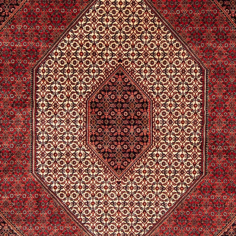 Bidjar Tapete 248x171cm - Tapete persa