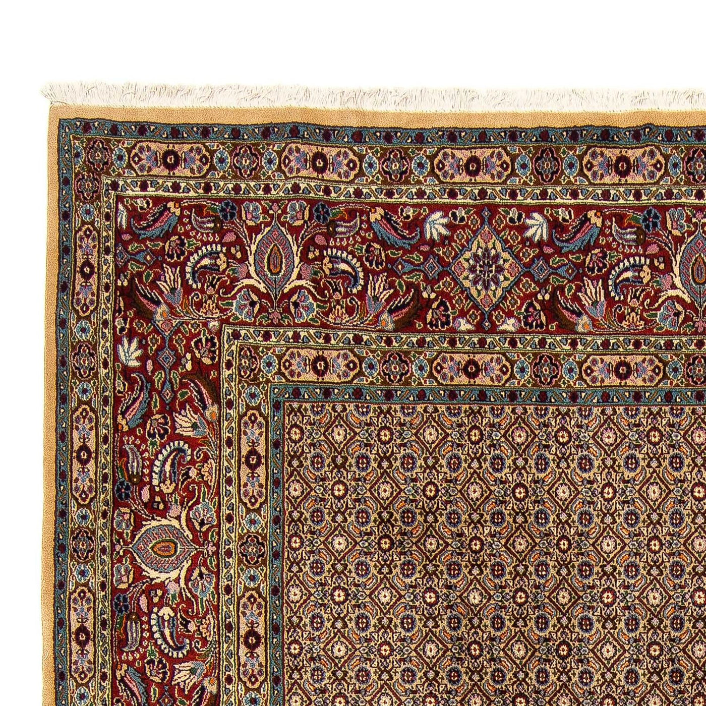 Moud Tapete 303x243cm - Tapete persa