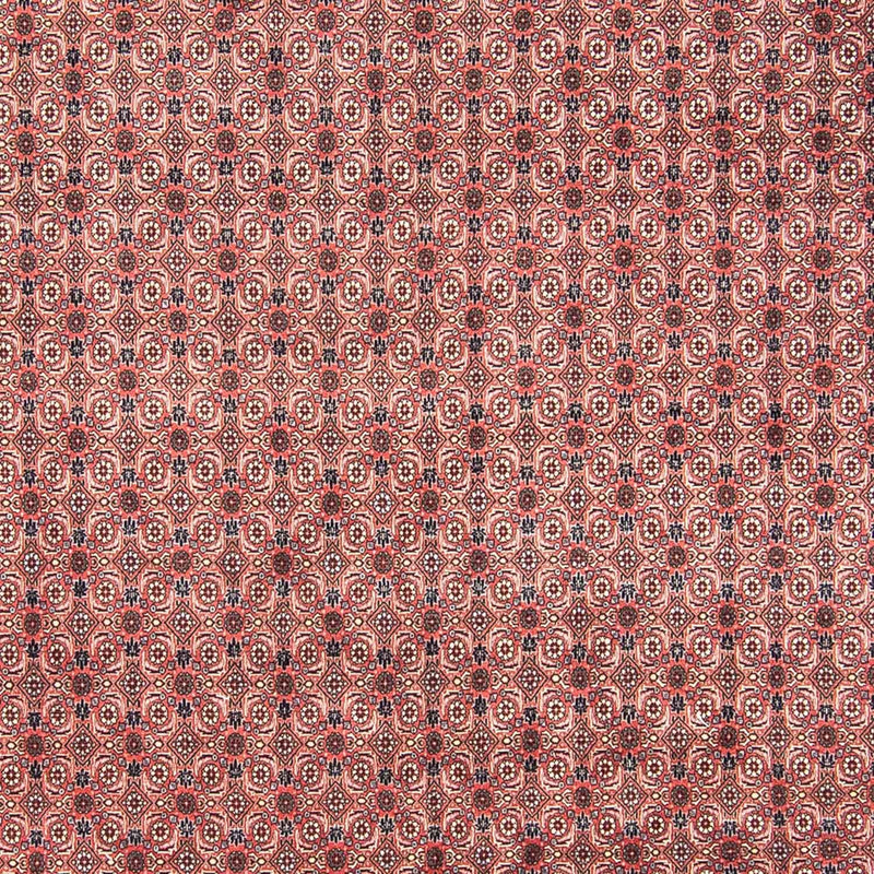 Bidjar Tapete 308x254cm - Tapete persa