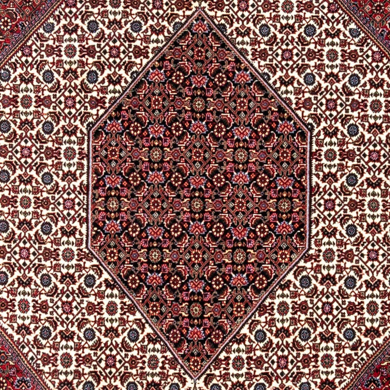 Bidjar - Takab Tapete 340x254cm - Tapete persa