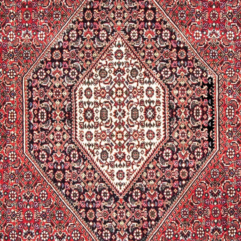 Bidjar Tapete 110x185cm - Tapete persa
