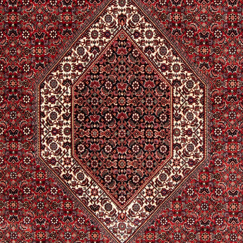 Bidjar Tapete 170x250cm - Tapete persa