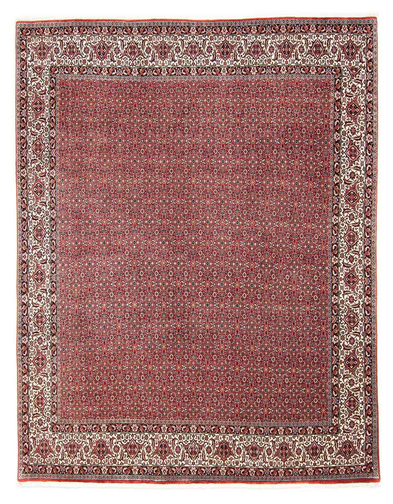 Bidjar Tapete 249x297cm - Tapete persa