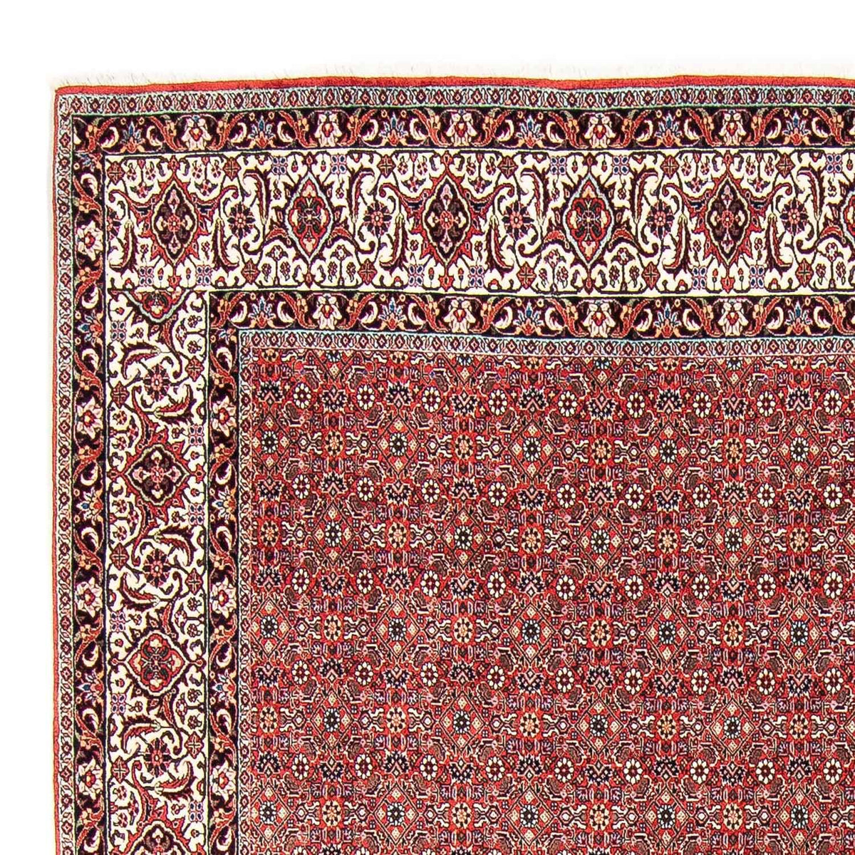 Bidjar Tapete 249x297cm - Tapete persa