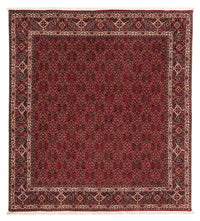 Bidjar Tapete 212x206cm - Tapete persa – product image
