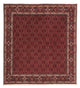 Bidjar Tapete 212x206cm - Tapete persa