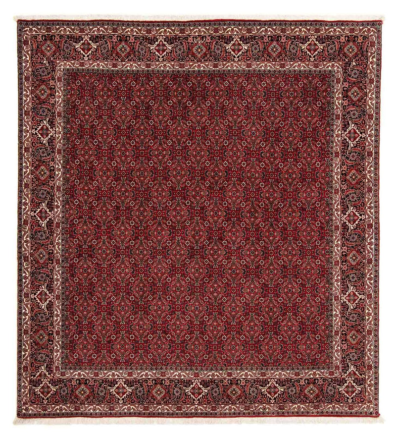 Bidjar Tapete 212x206cm - Tapete persa