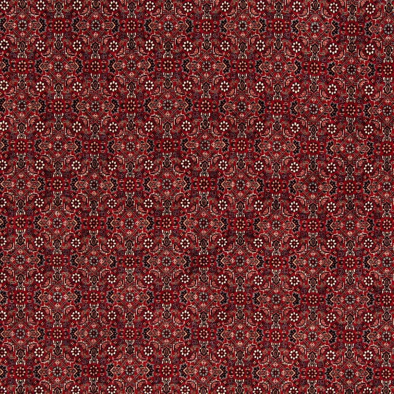 Bidjar Tapete 212x206cm - Tapete persa