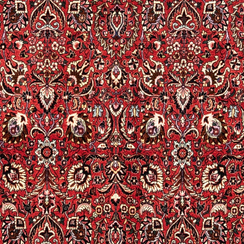 Bidjar - Takab Tapete 349x252cm - Tapete persa
