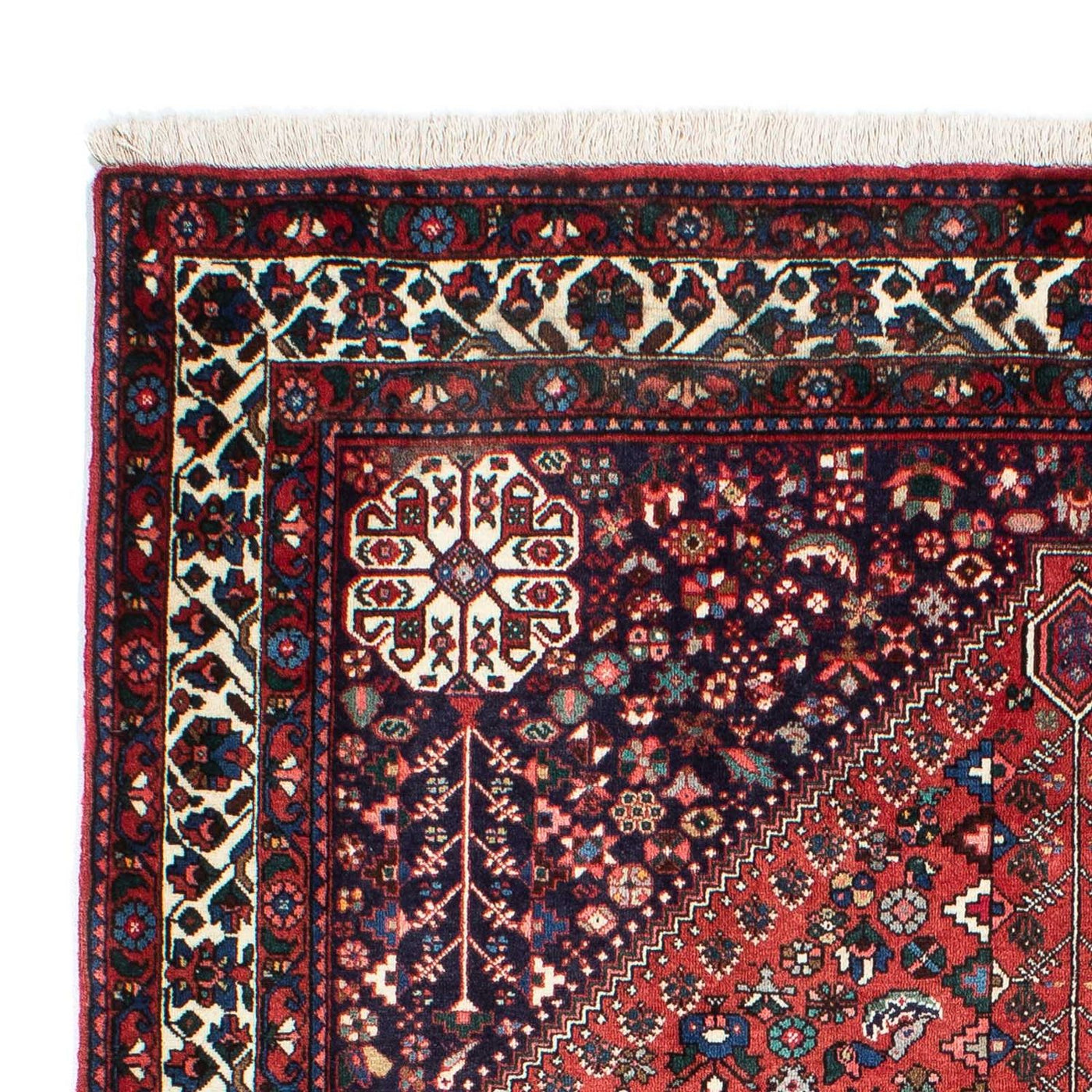 Kashkuli Tapete 203x153cm - Tapete persa
