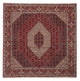 Bidjar Tapete 250x250cm - Tapete persa