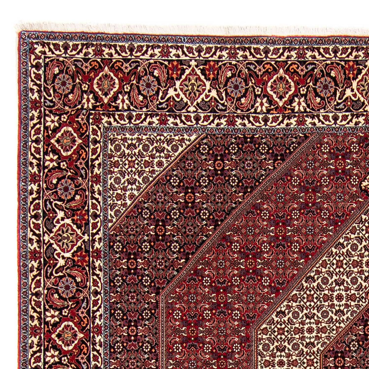 Bidjar Tapete 250x250cm - Tapete persa