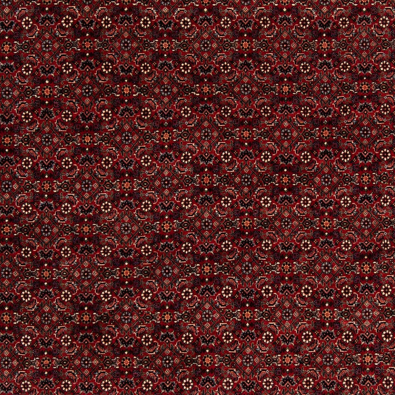Bidjar Tapete 212x205cm - Tapete persa