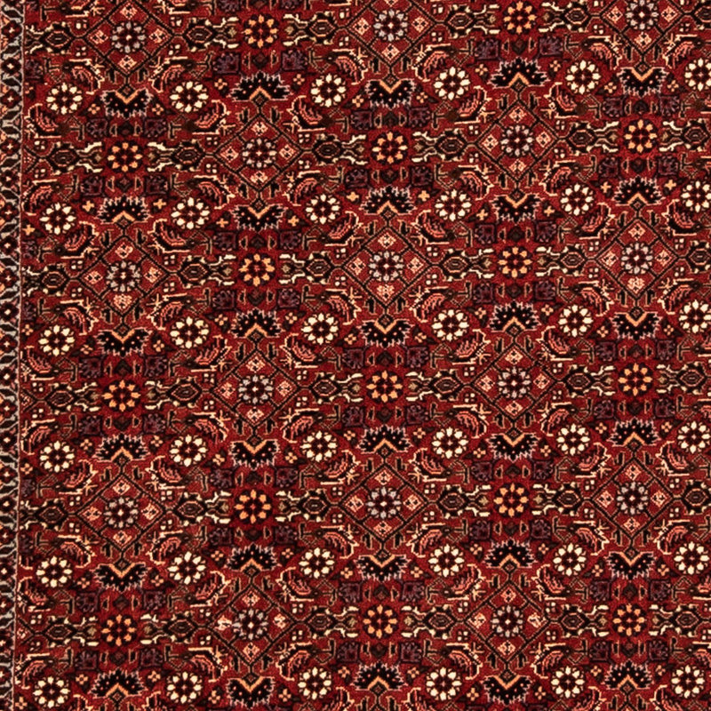 Bidjar Tapete 304x86cm - Tapete persa