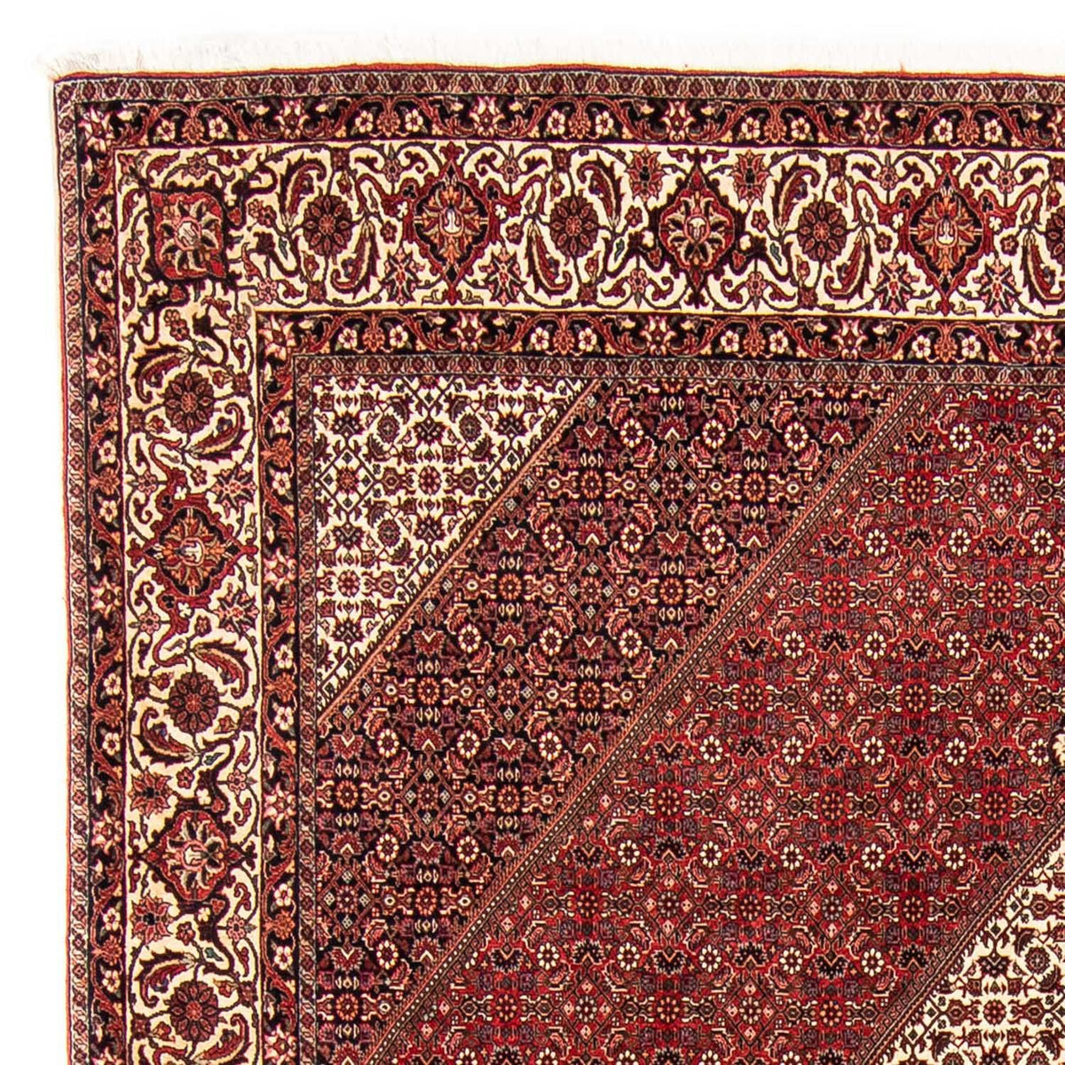 Bidjar Tapete 251x304cm - Tapete persa