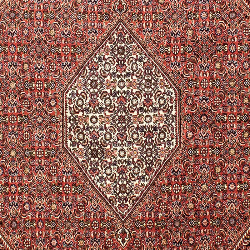 Bidjar Tapete 165x268cm - Tapete persa